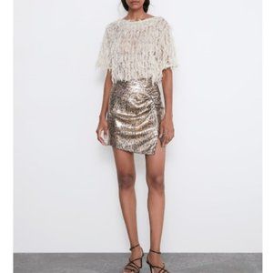 Zara Snakeskin Mini
